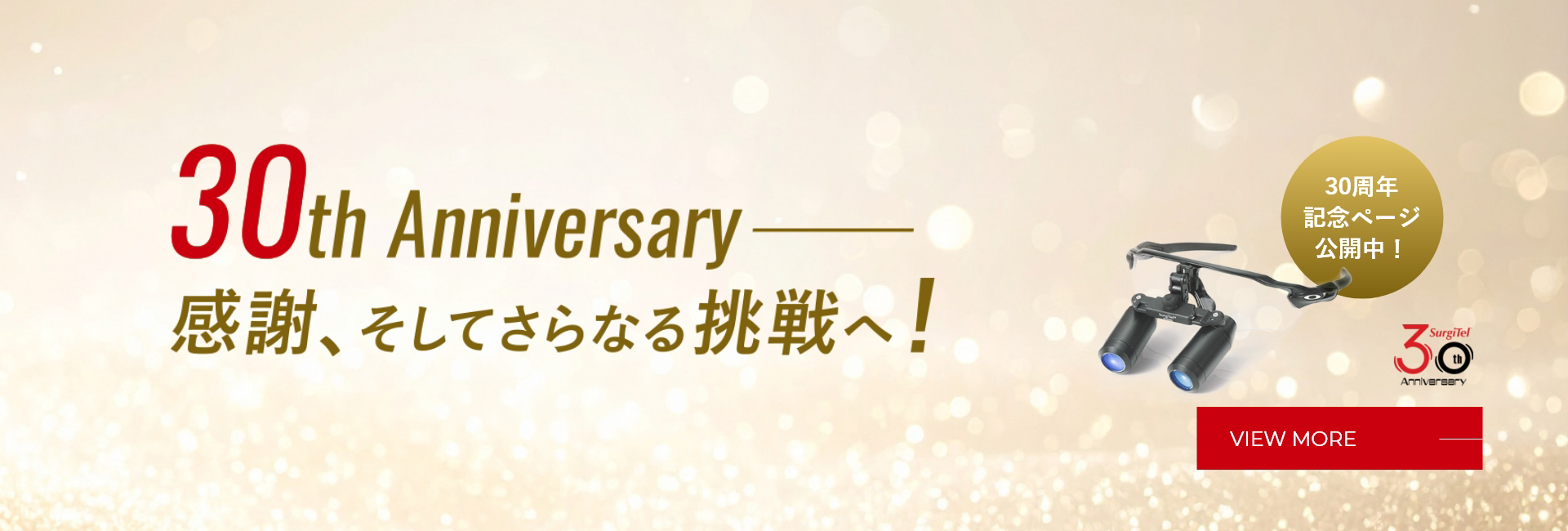 サージテル30周年記念ページ